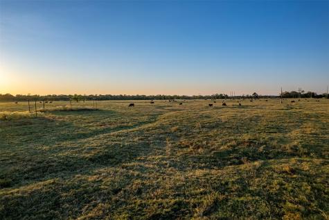 5081 154 Highway Yantis TX 75497
