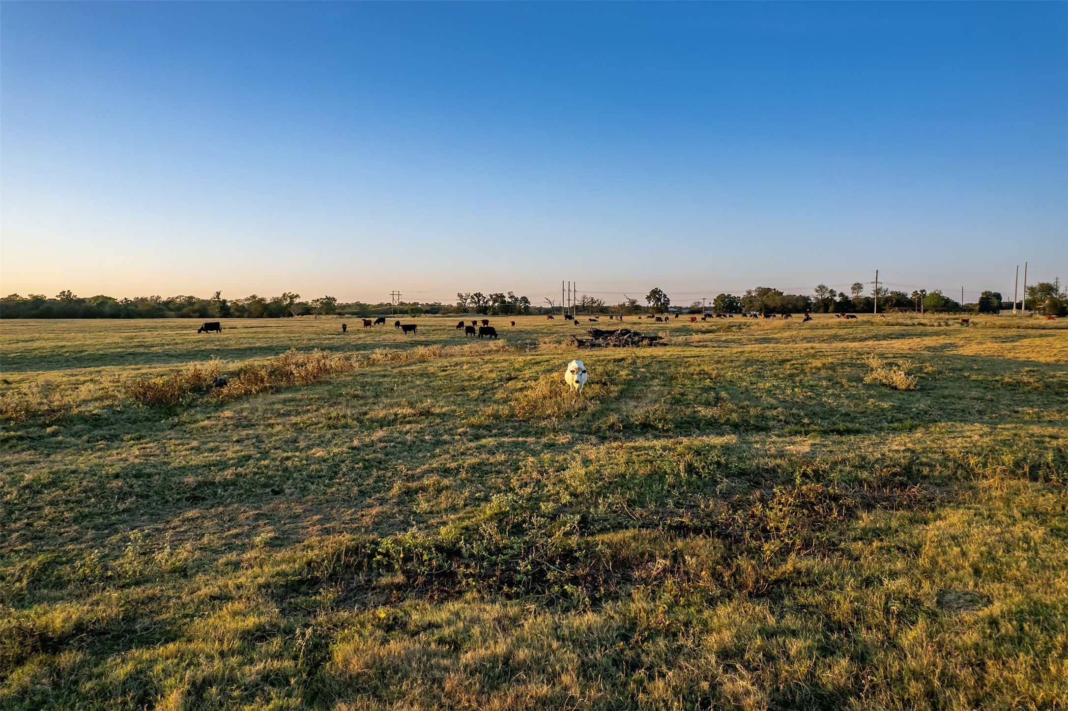 5081 154 Highway Yantis TX 75497