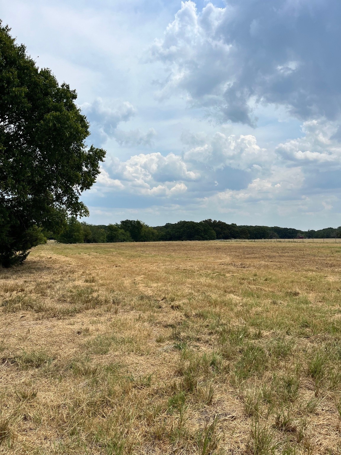 001 County Road 2610 Bonham TX 75418