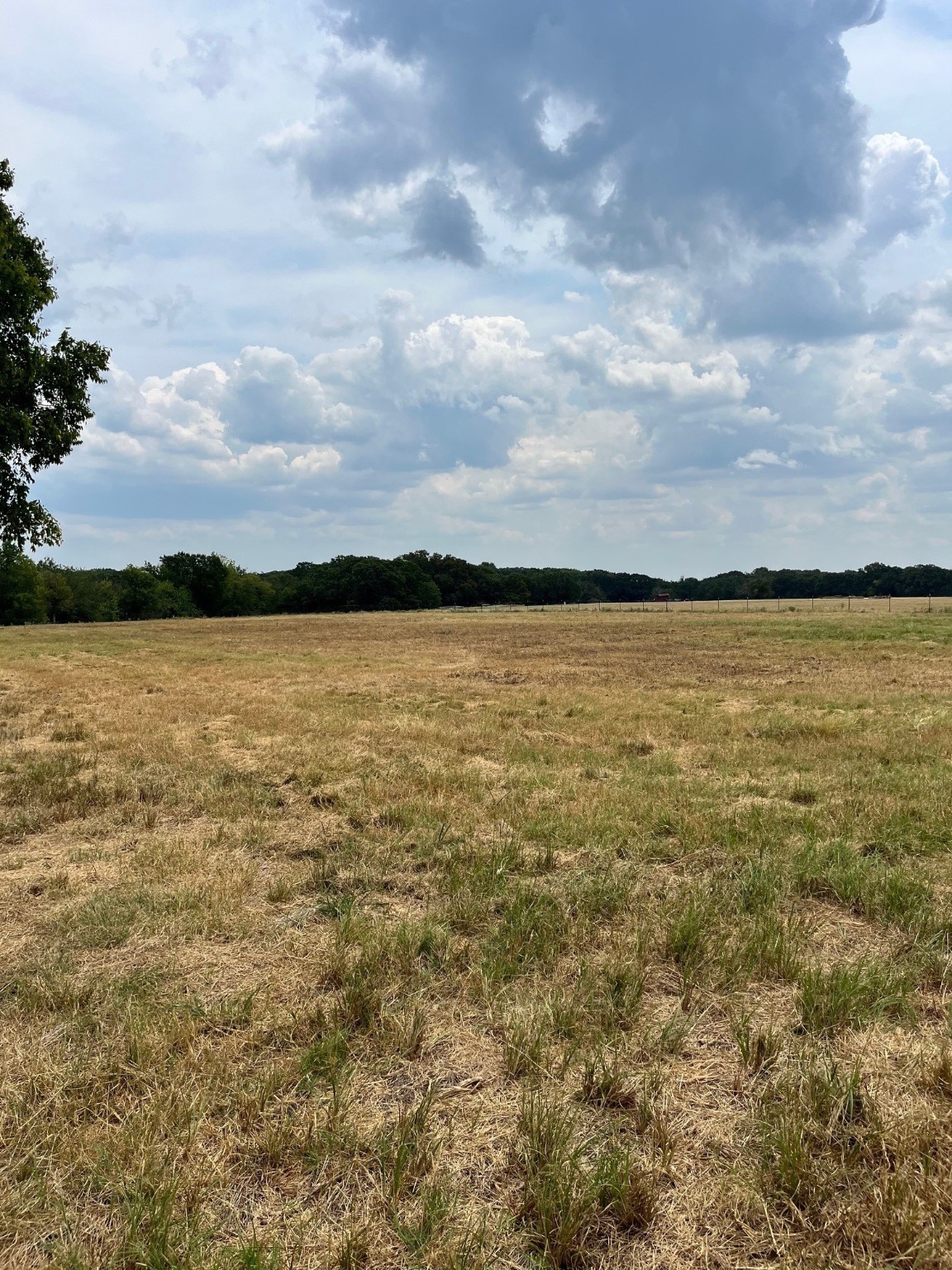 001 County Road 2610 Bonham TX 75418