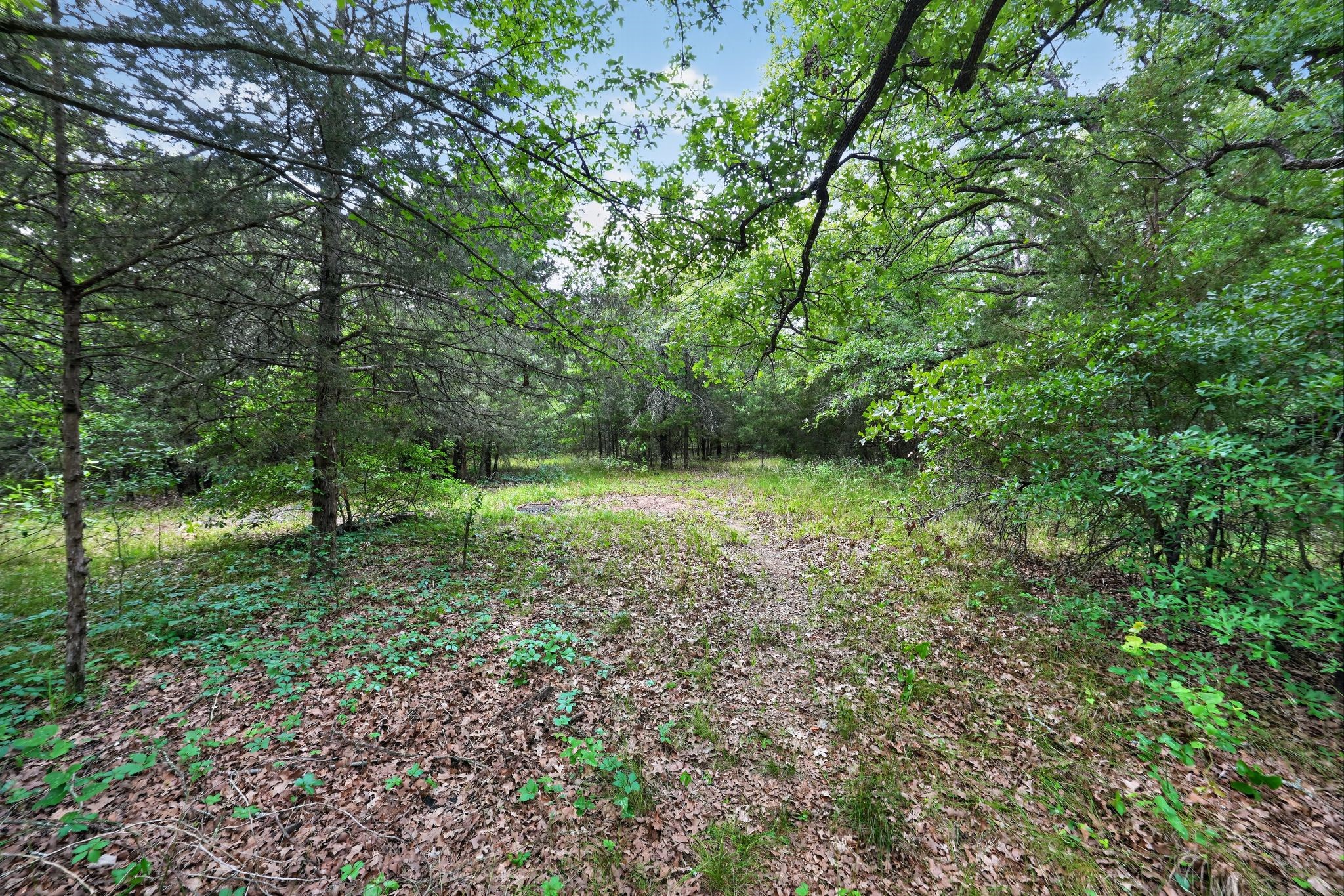15007 N 2nd Street Scurry TX 75158