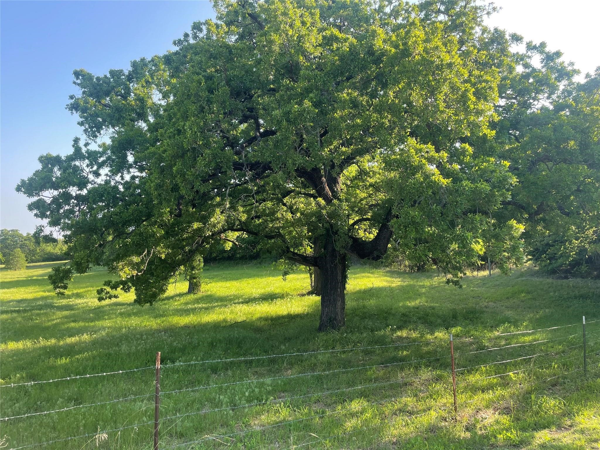 858 County Road 2395 Alvord TX 76225