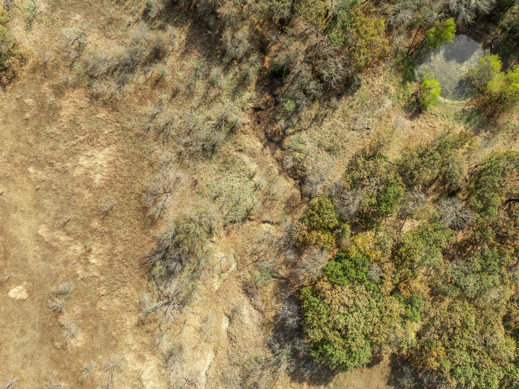 Tbd Off Hcr 3368 Hubbard TX 76648