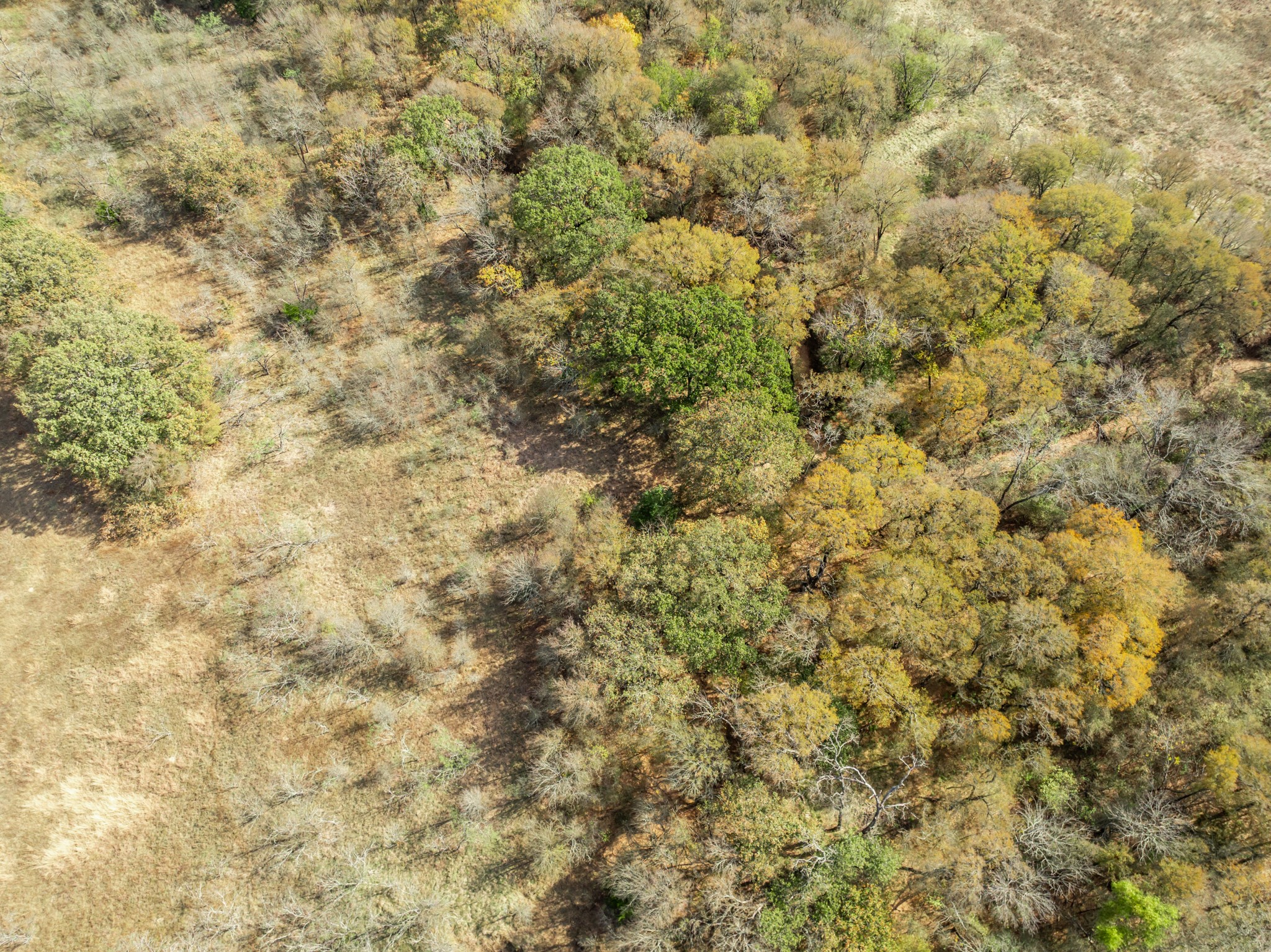 Tbd Off Hcr 3368 Hubbard TX 76648