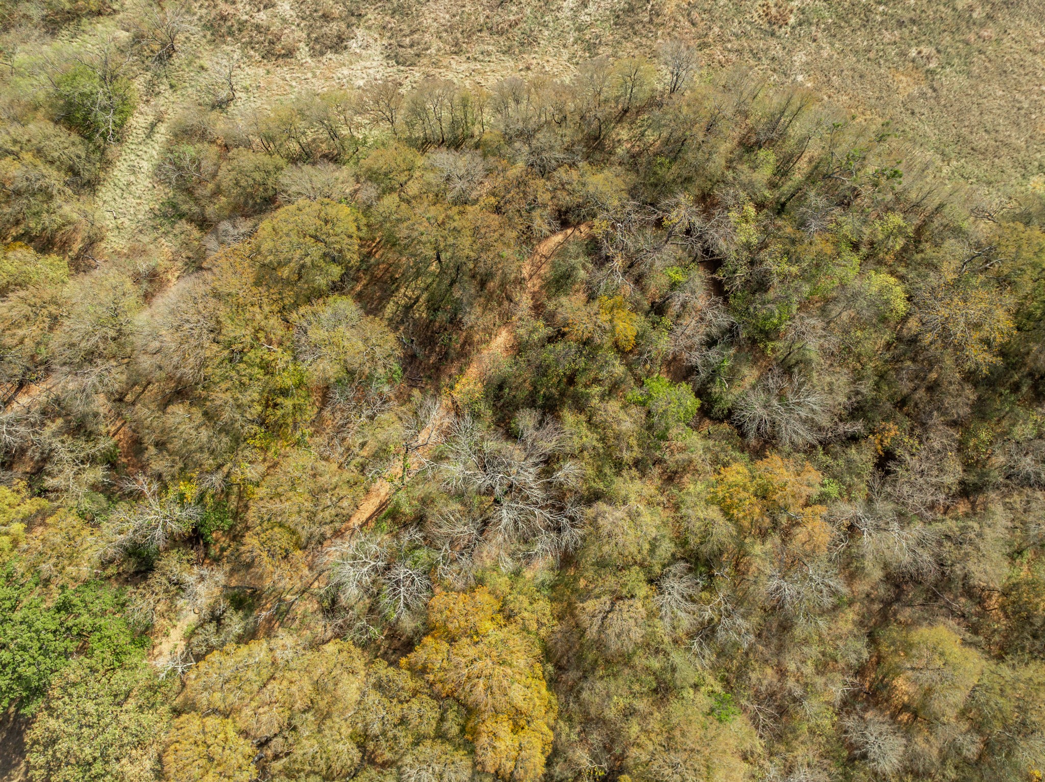 Tbd Off Hcr 3368 Hubbard TX 76648