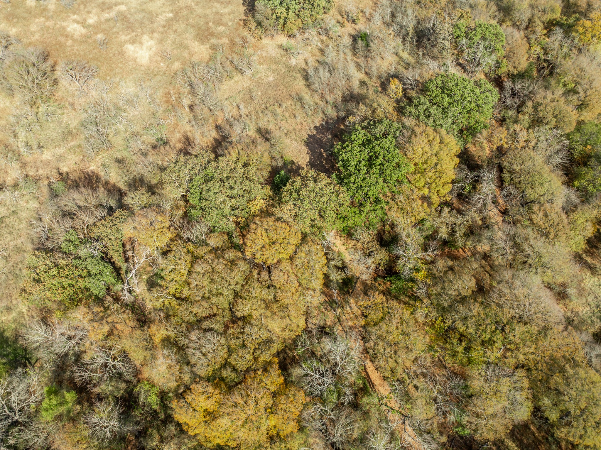 Tbd Off Hcr 3368 Hubbard TX 76648