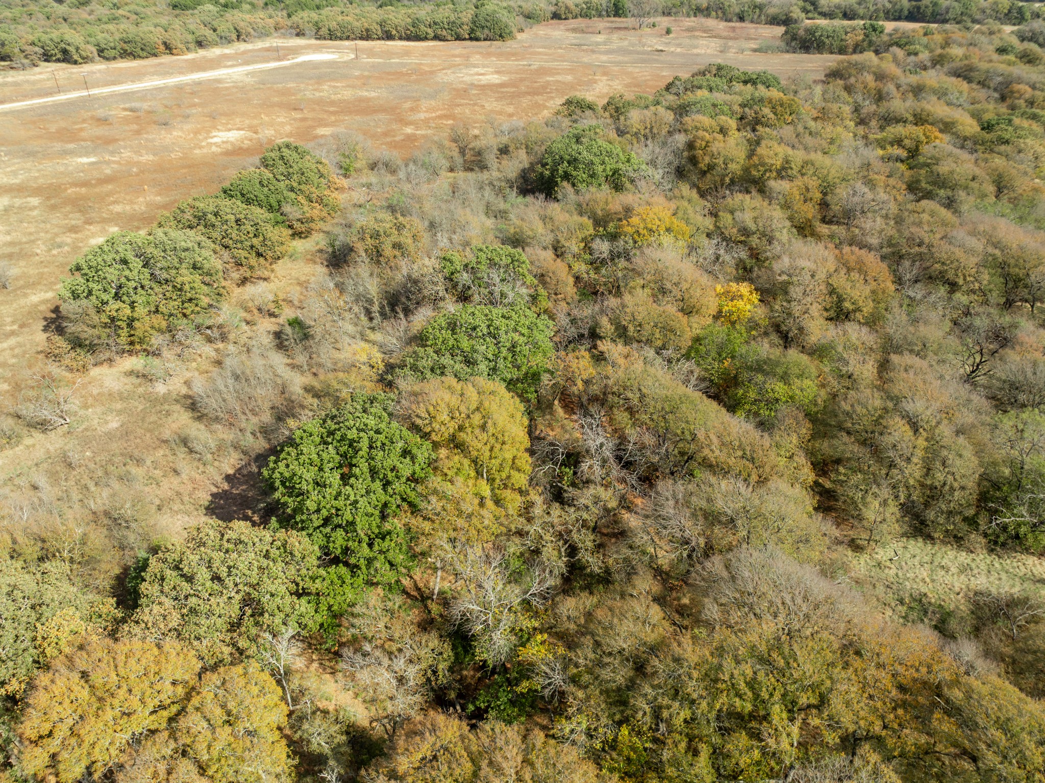 Tbd Off Hcr 3368 Hubbard TX 76648