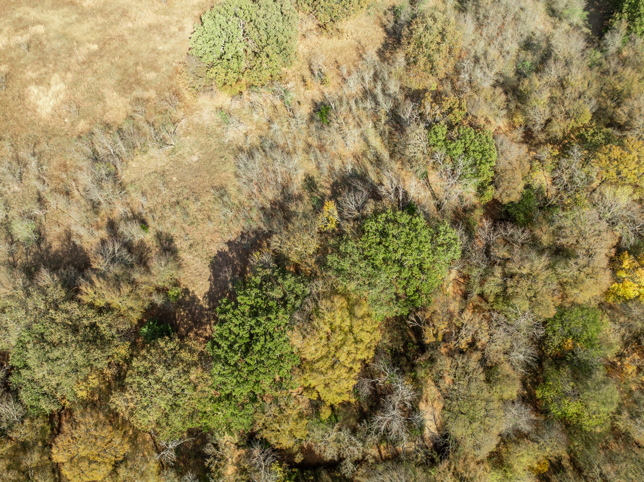 Tbd Off Hcr 3368 Hubbard TX 76648