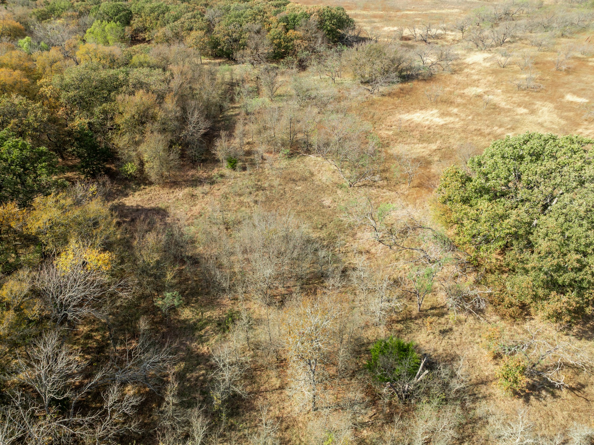 Tbd Off Hcr 3368 Hubbard TX 76648