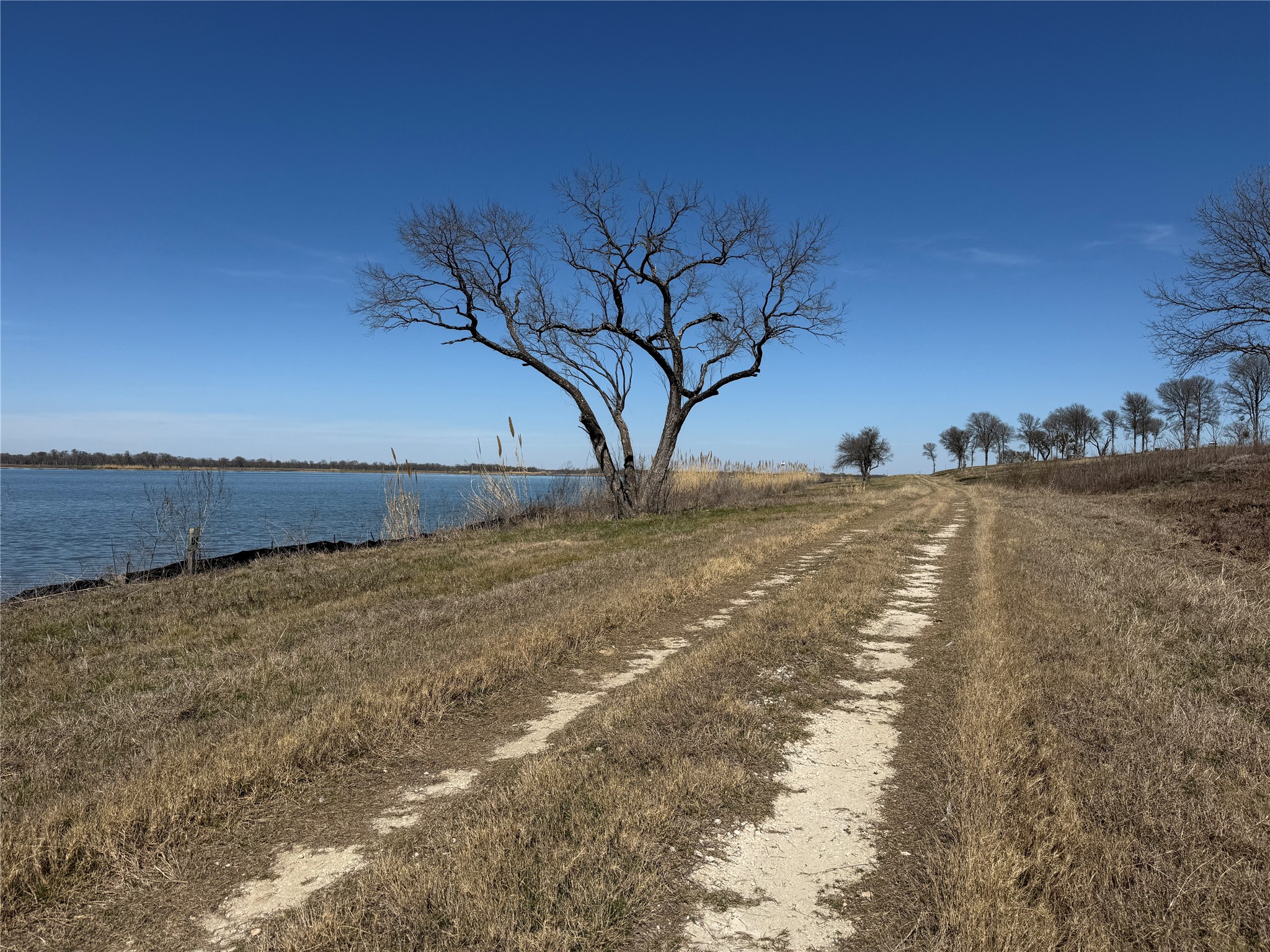Lot 92 Shoreside Drive Corsicana TX 75109