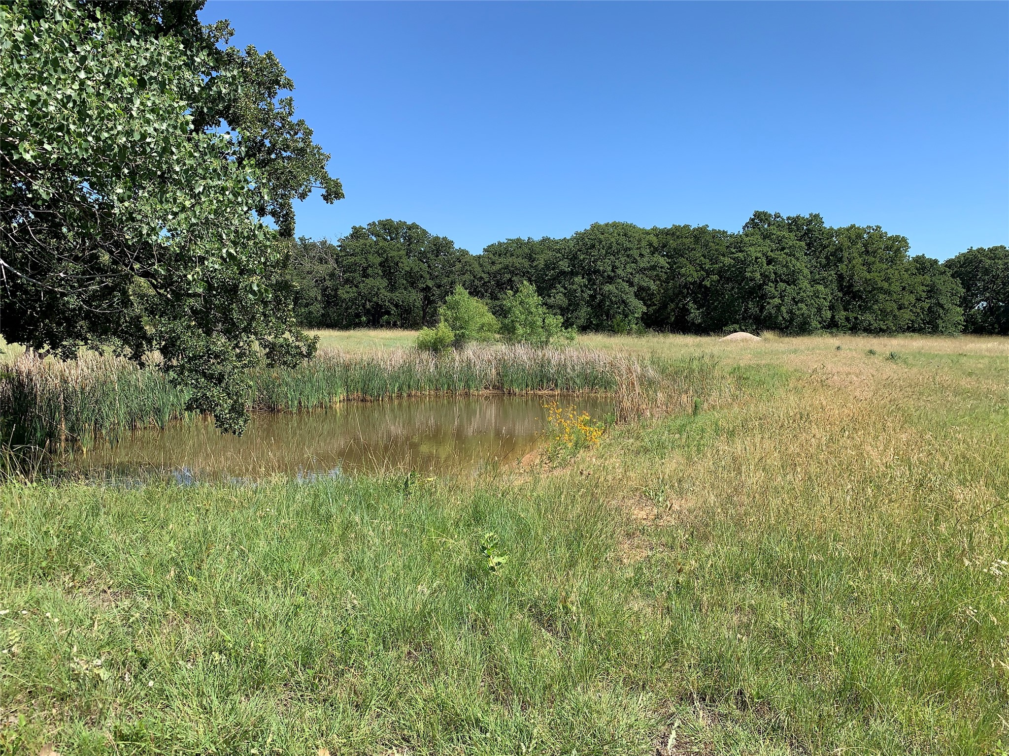 100 W Huron Circle Nocona TX 76255