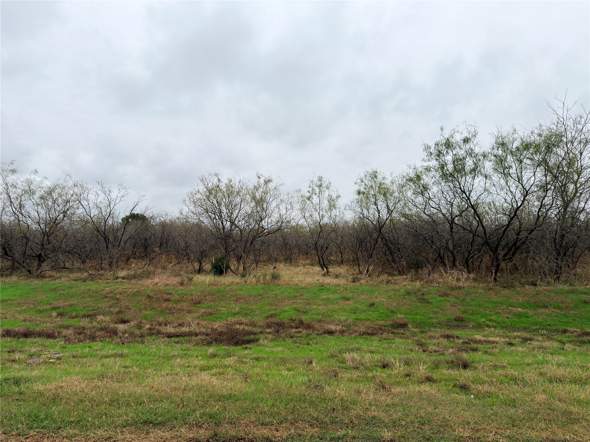 Tract 129c Highway 31 Bypass Corsicana TX 75110