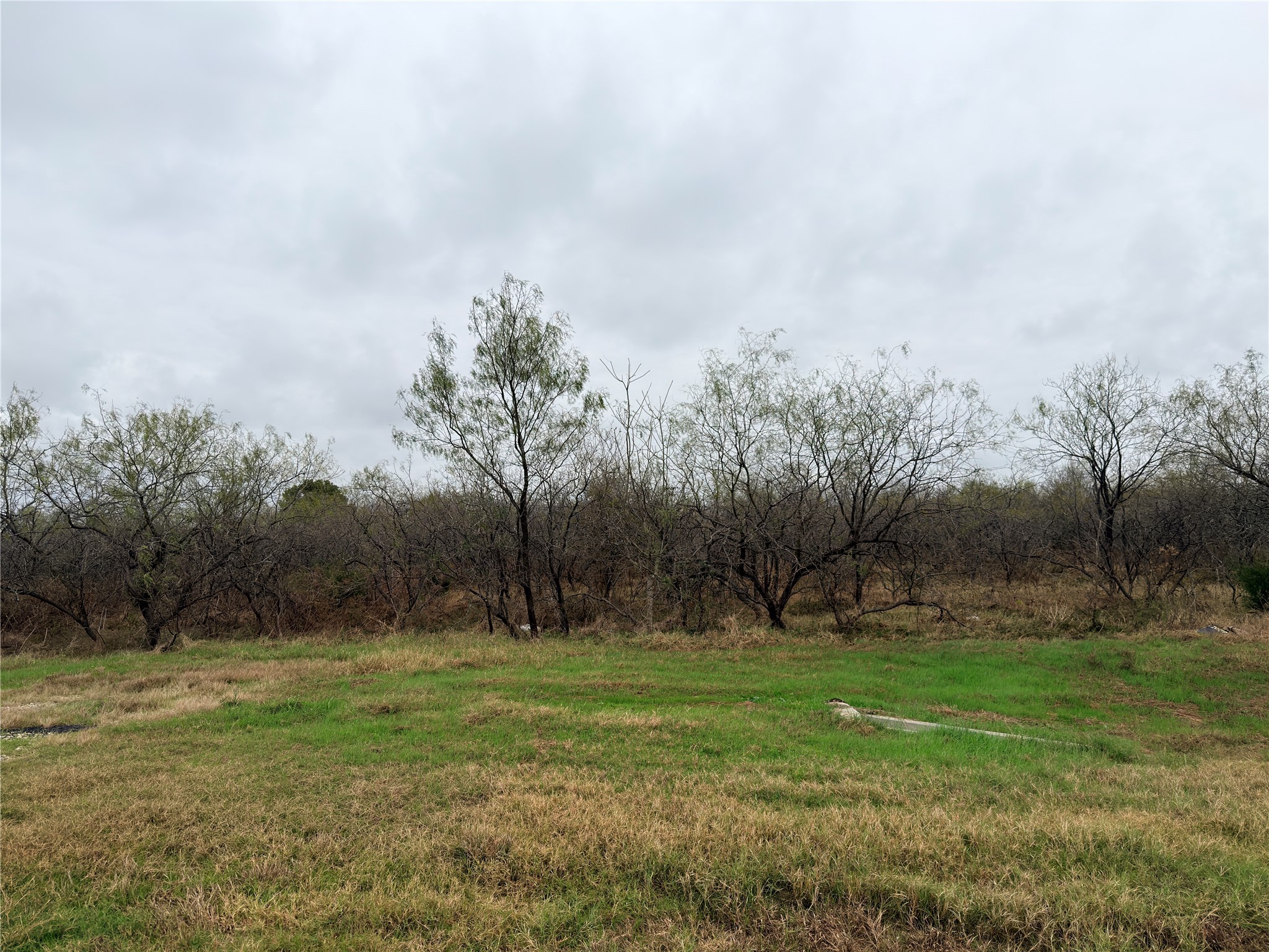 Tract 129c Highway 31 Bypass Corsicana TX 75110