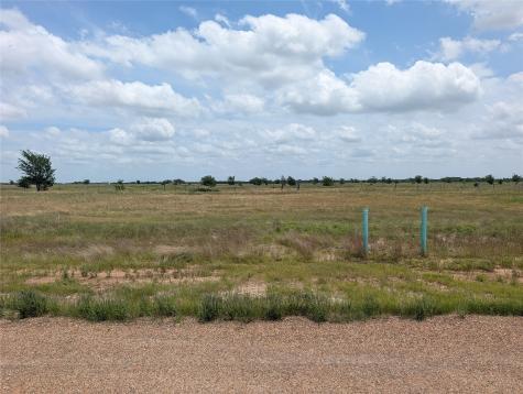 1107 Skyline Street Mabank TX 75147
