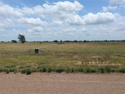 1107 Skyline Street Mabank TX 75147