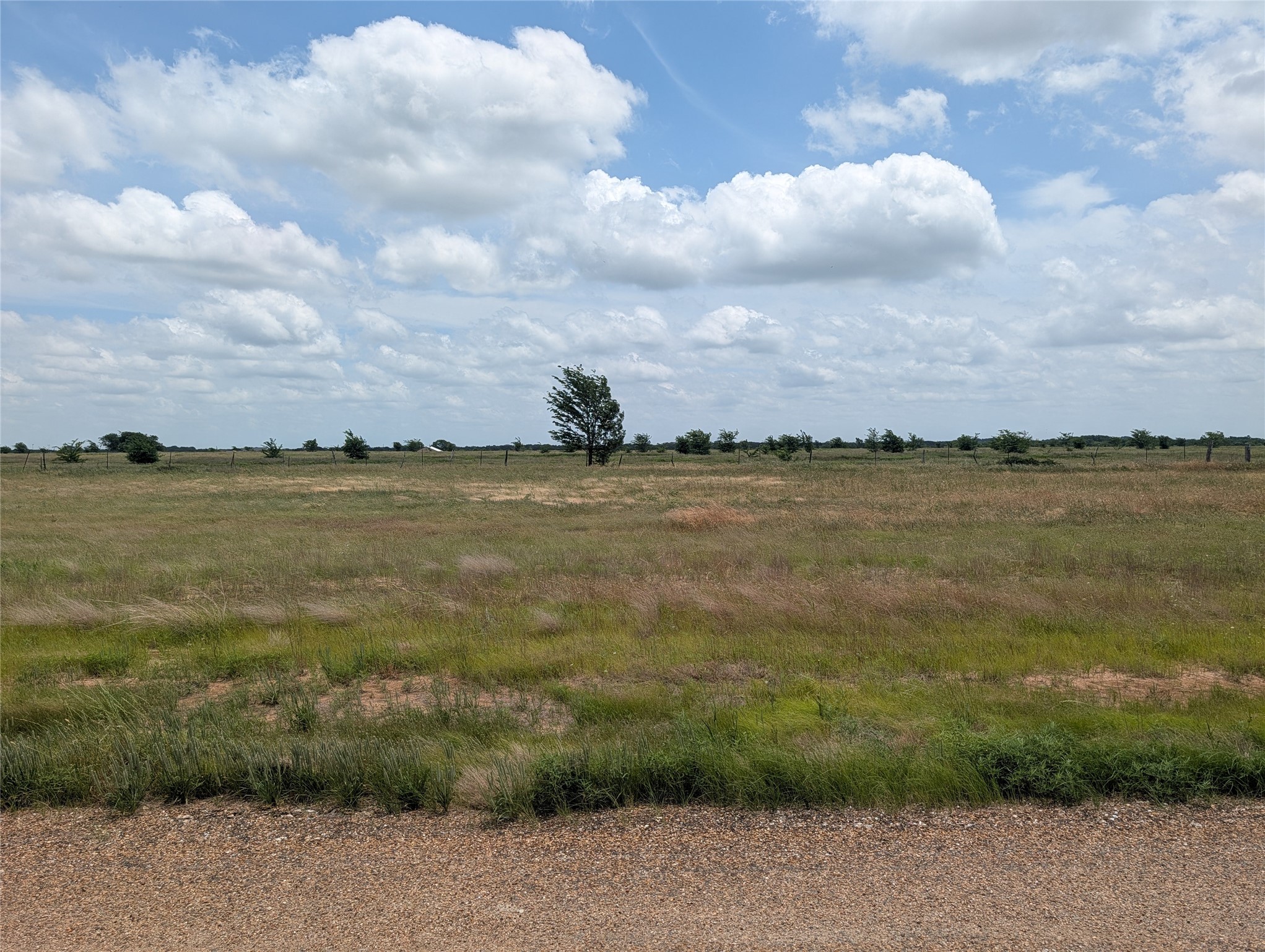 1107 Skyline Street Mabank TX 75147