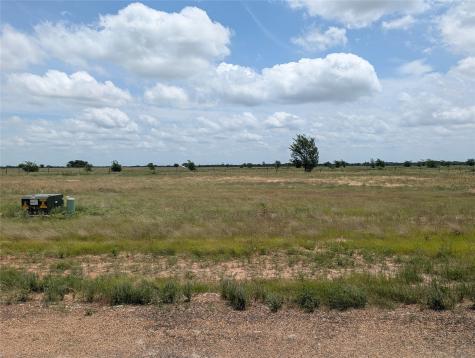 1107 Skyline Street Mabank TX 75147