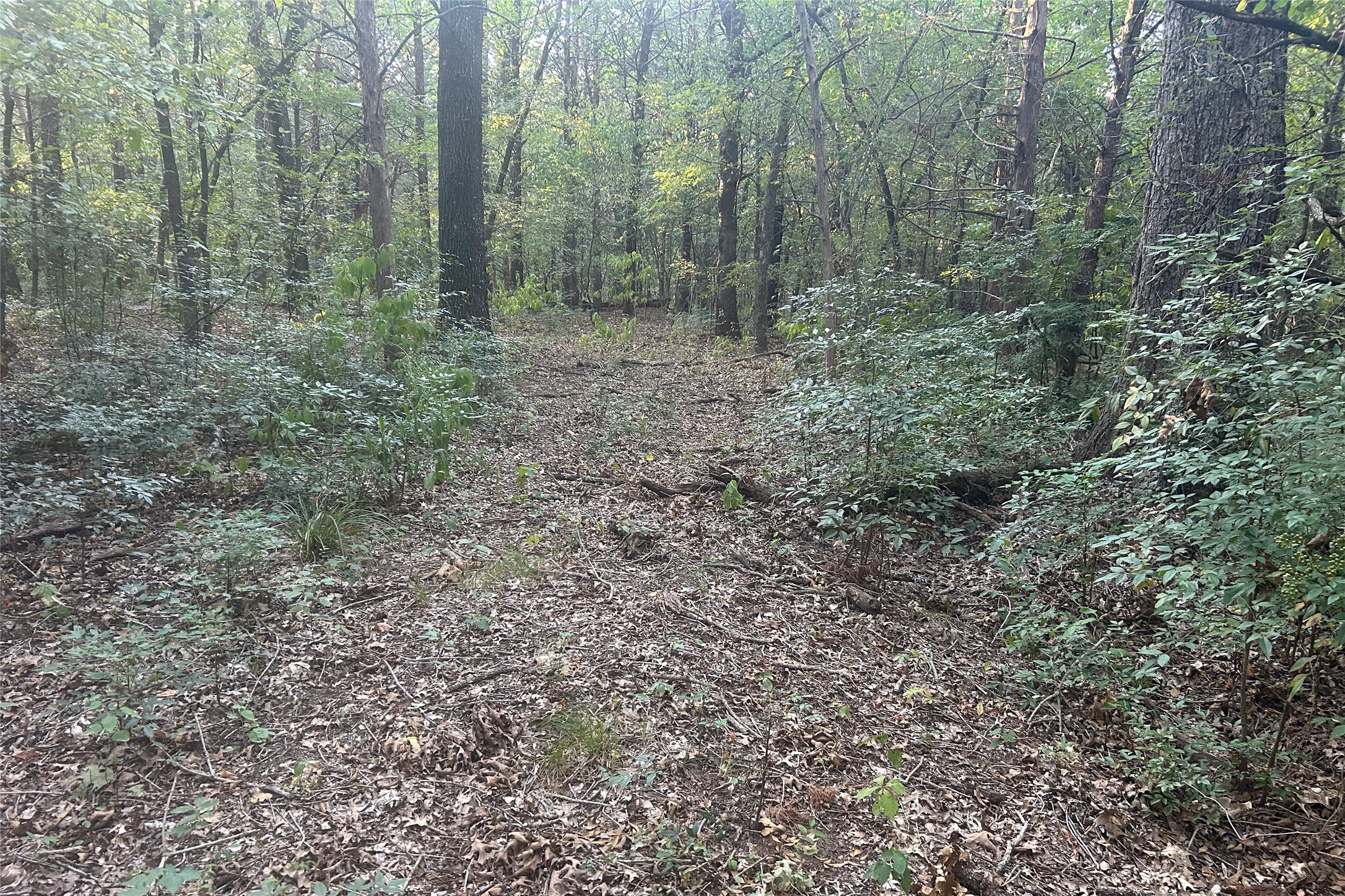 Tbd Pearce Road Collinsville TX 76233