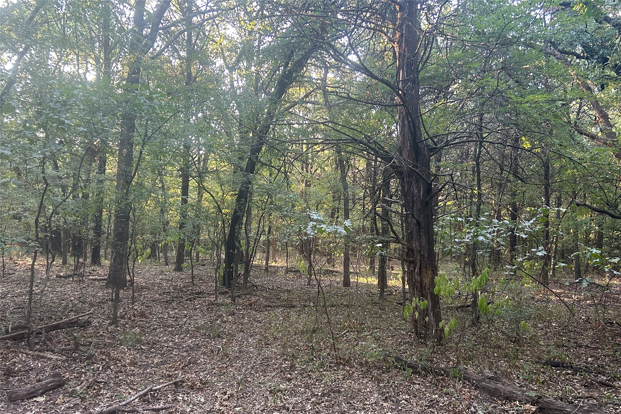 Tbd Pearce Road Collinsville TX 76233