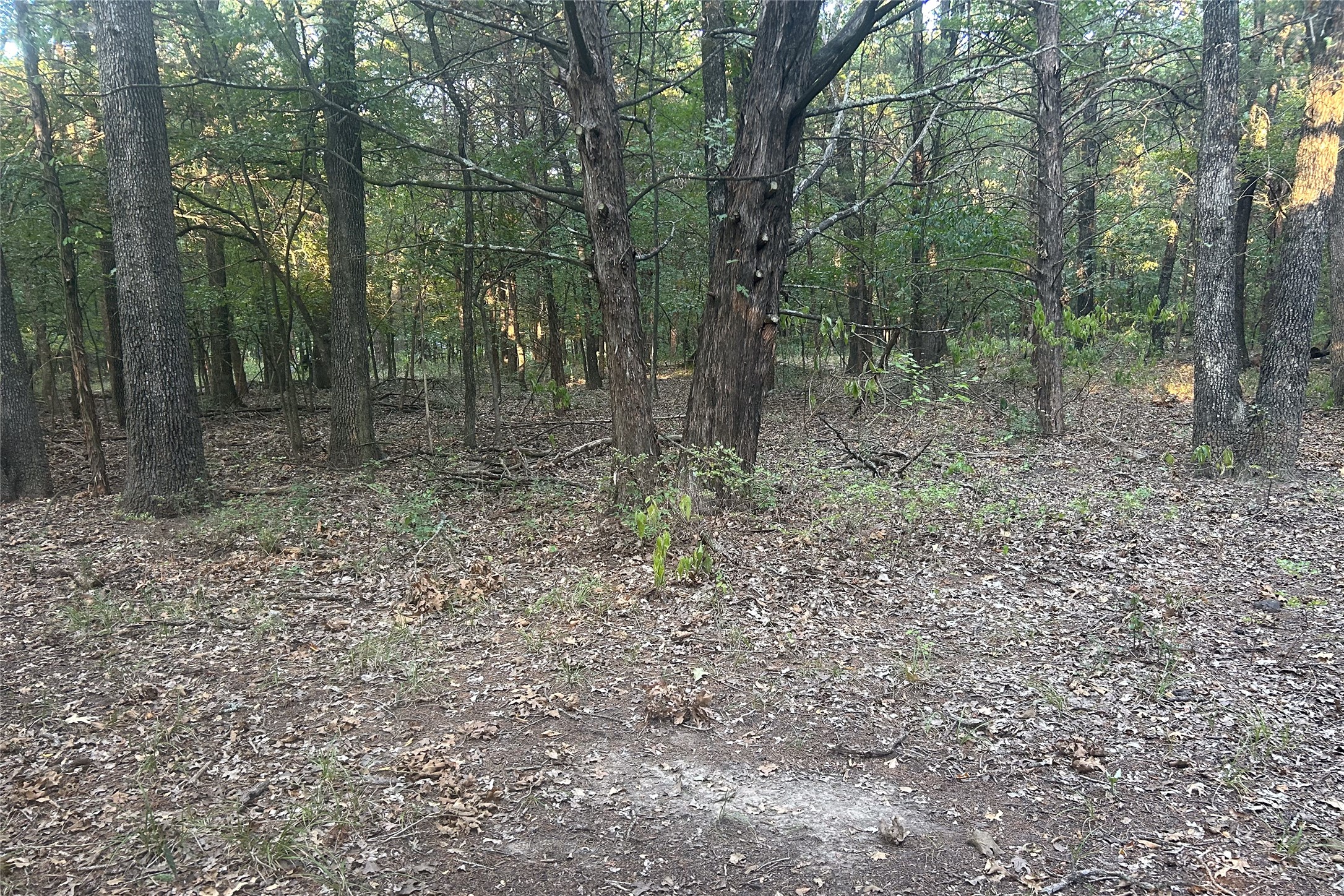 Tbd Pearce Road Collinsville TX 76233