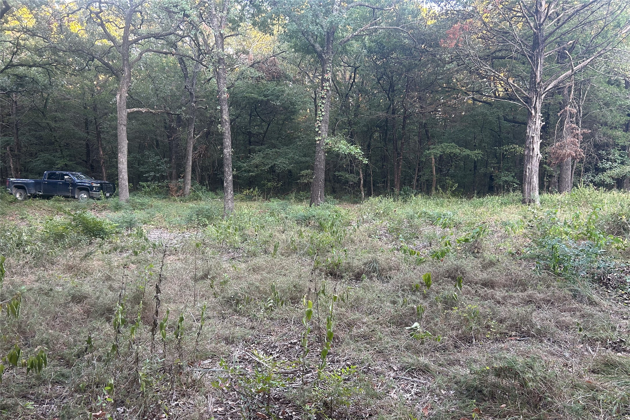 Tbd Pearce Road Collinsville TX 76233