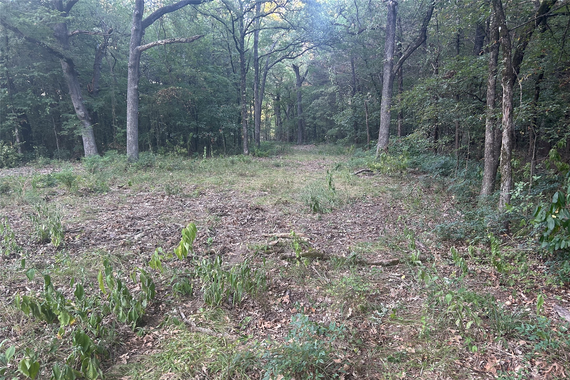 Tbd Pearce Road Collinsville TX 76233