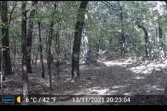 Tbd Pearce Road Collinsville TX 76233