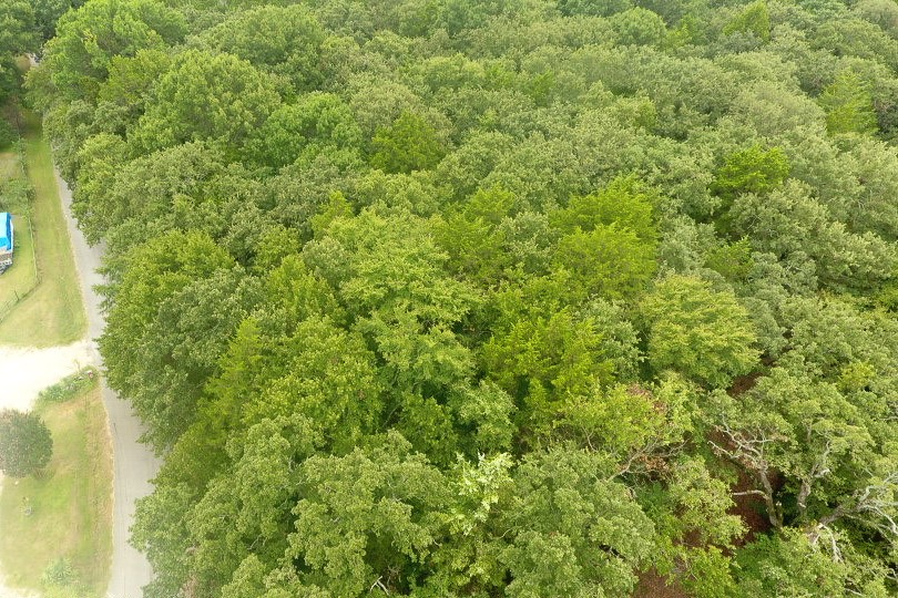 Tbd Pearce Road Collinsville TX 76233