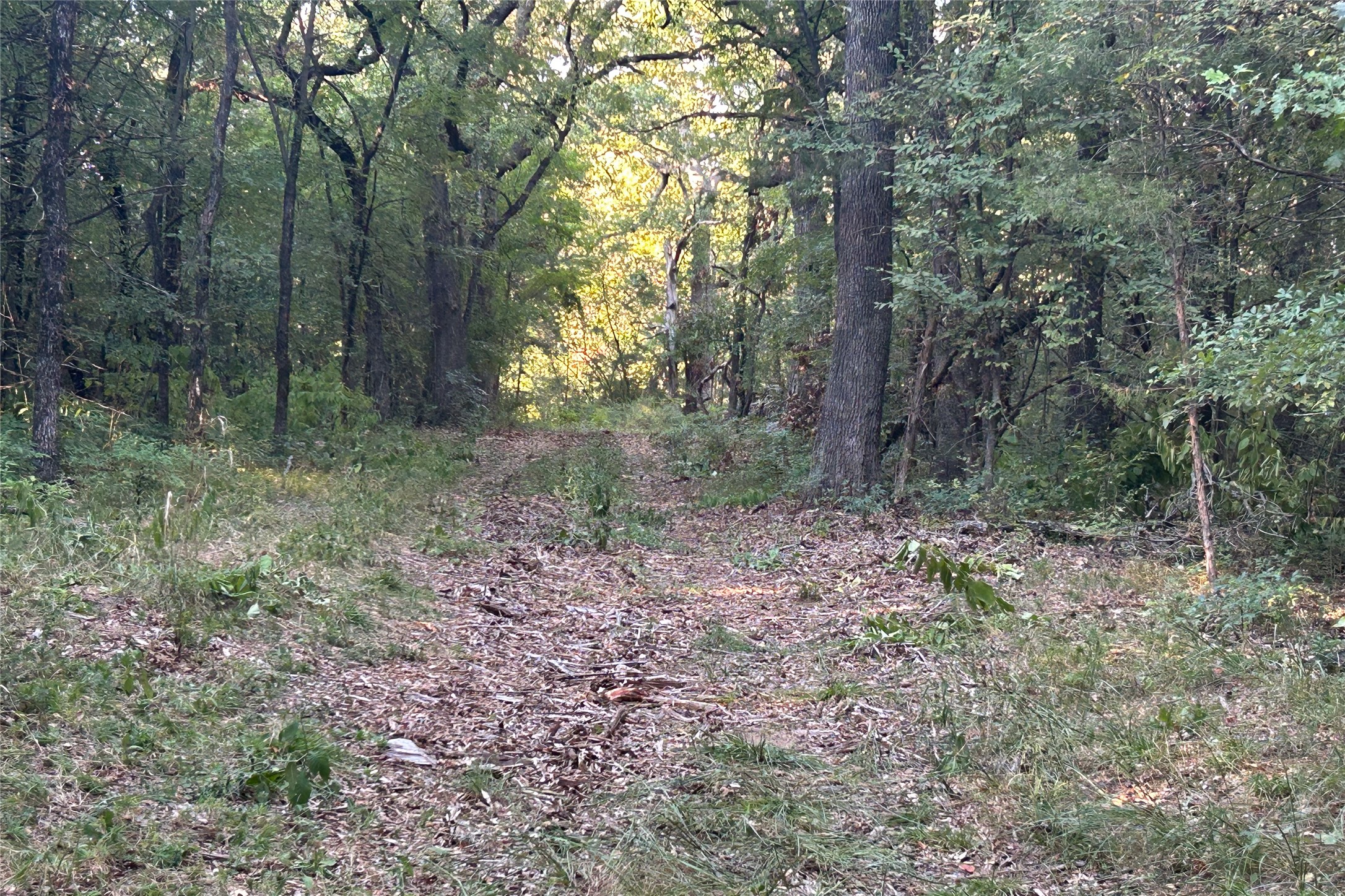 Tbd Pearce Road Collinsville TX 76233