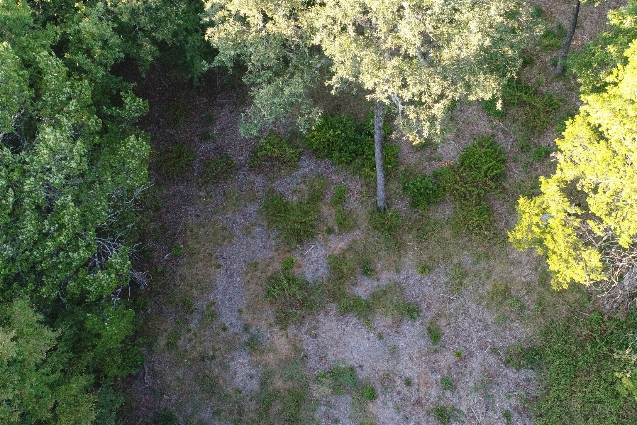 Tbd Pearce Road Collinsville TX 76233