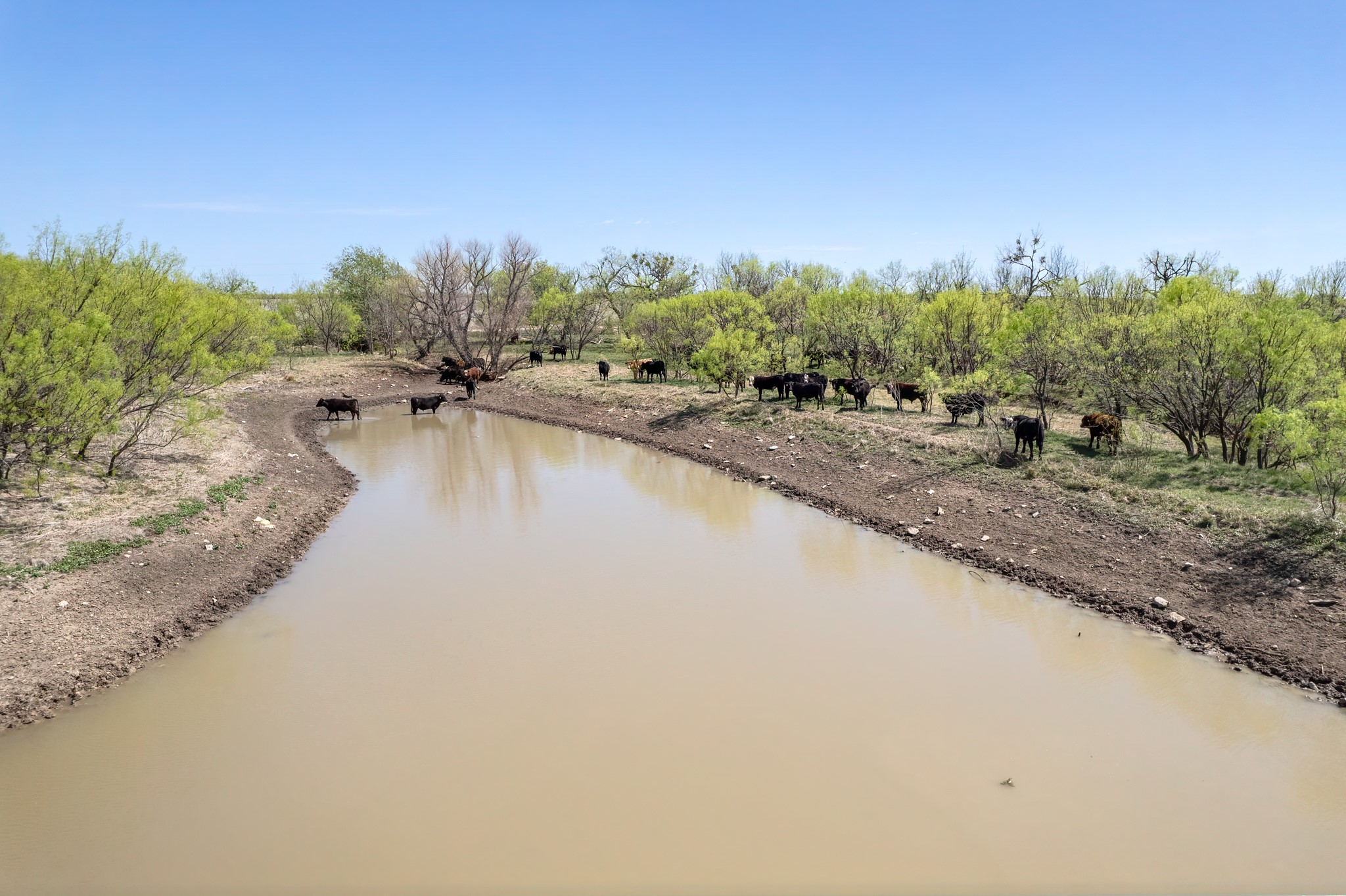 Tbd Fm 568 Coleman TX 76834