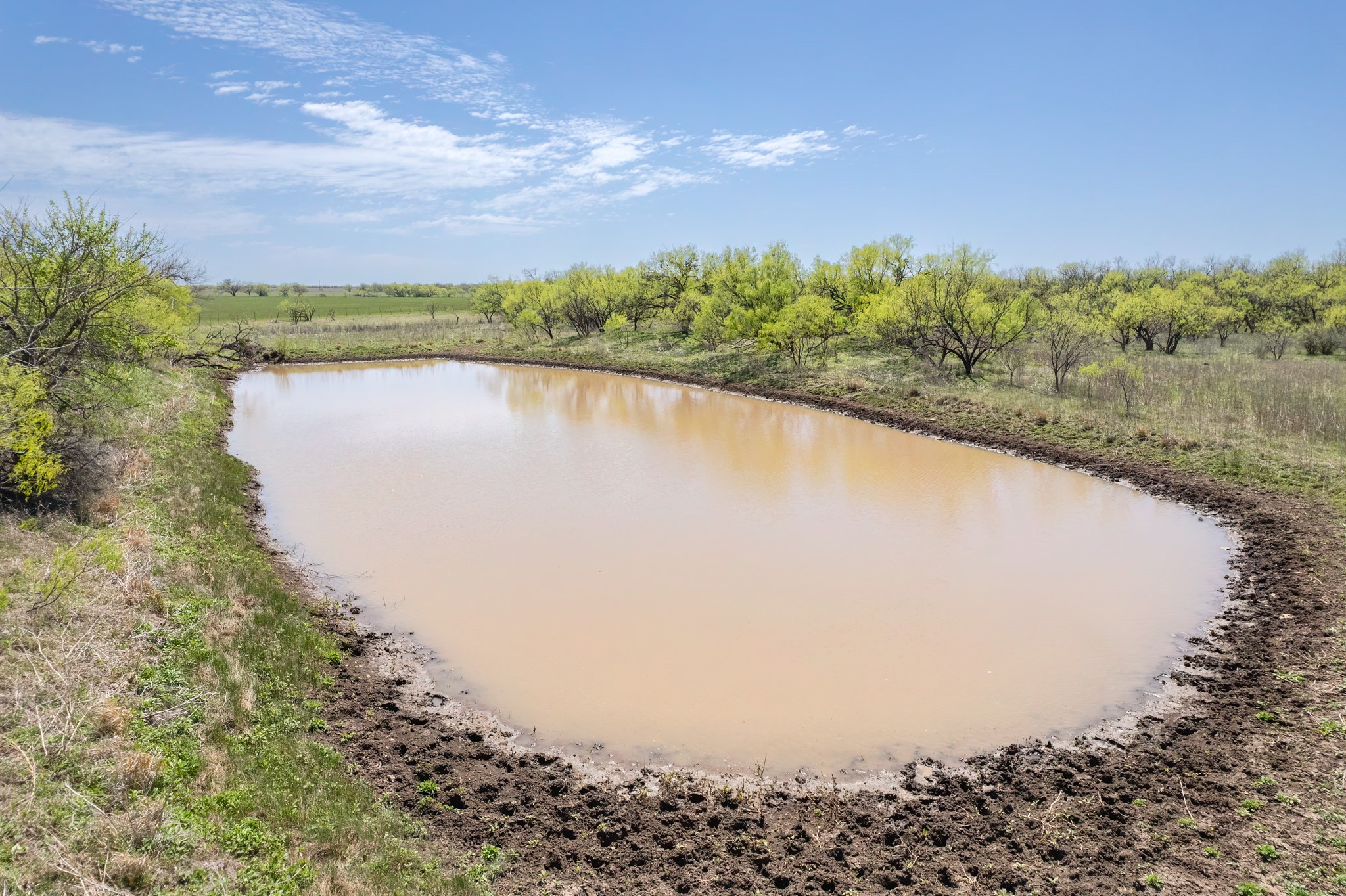 Tbd Fm 568 Coleman TX 76834