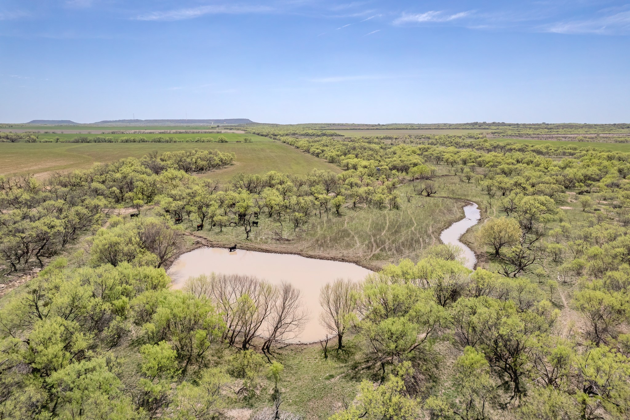 Tbd Fm 568 Coleman TX 76834