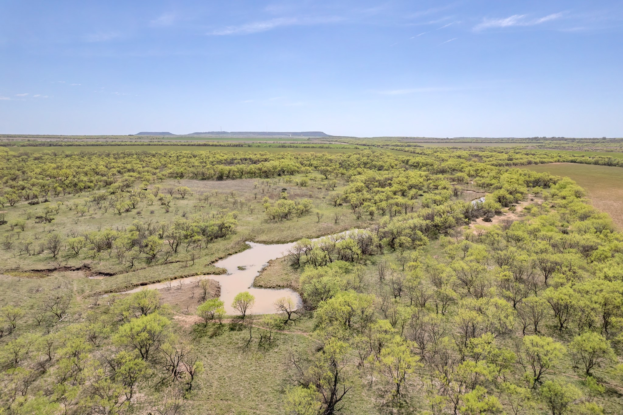 Tbd Fm 568 Coleman TX 76834