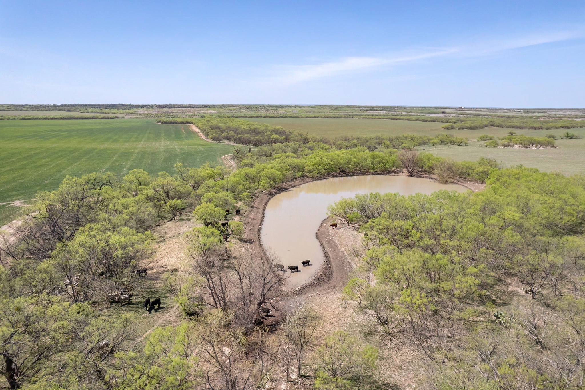 Tbd Fm 568 Coleman TX 76834
