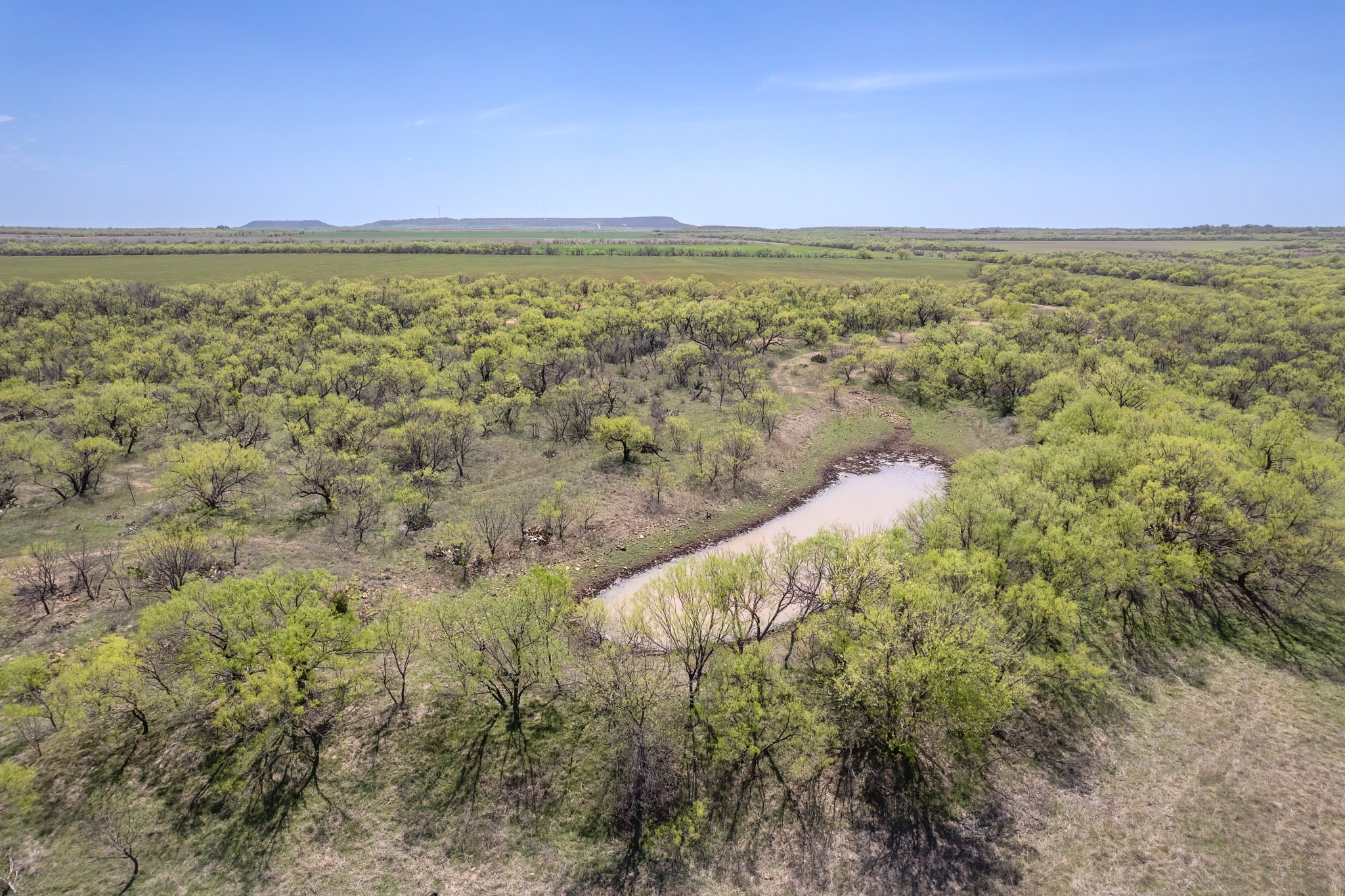 Tbd Fm 568 Coleman TX 76834