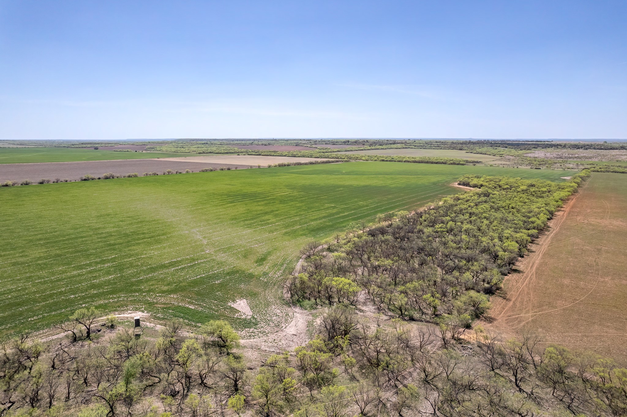 Tbd Fm 568 Coleman TX 76834