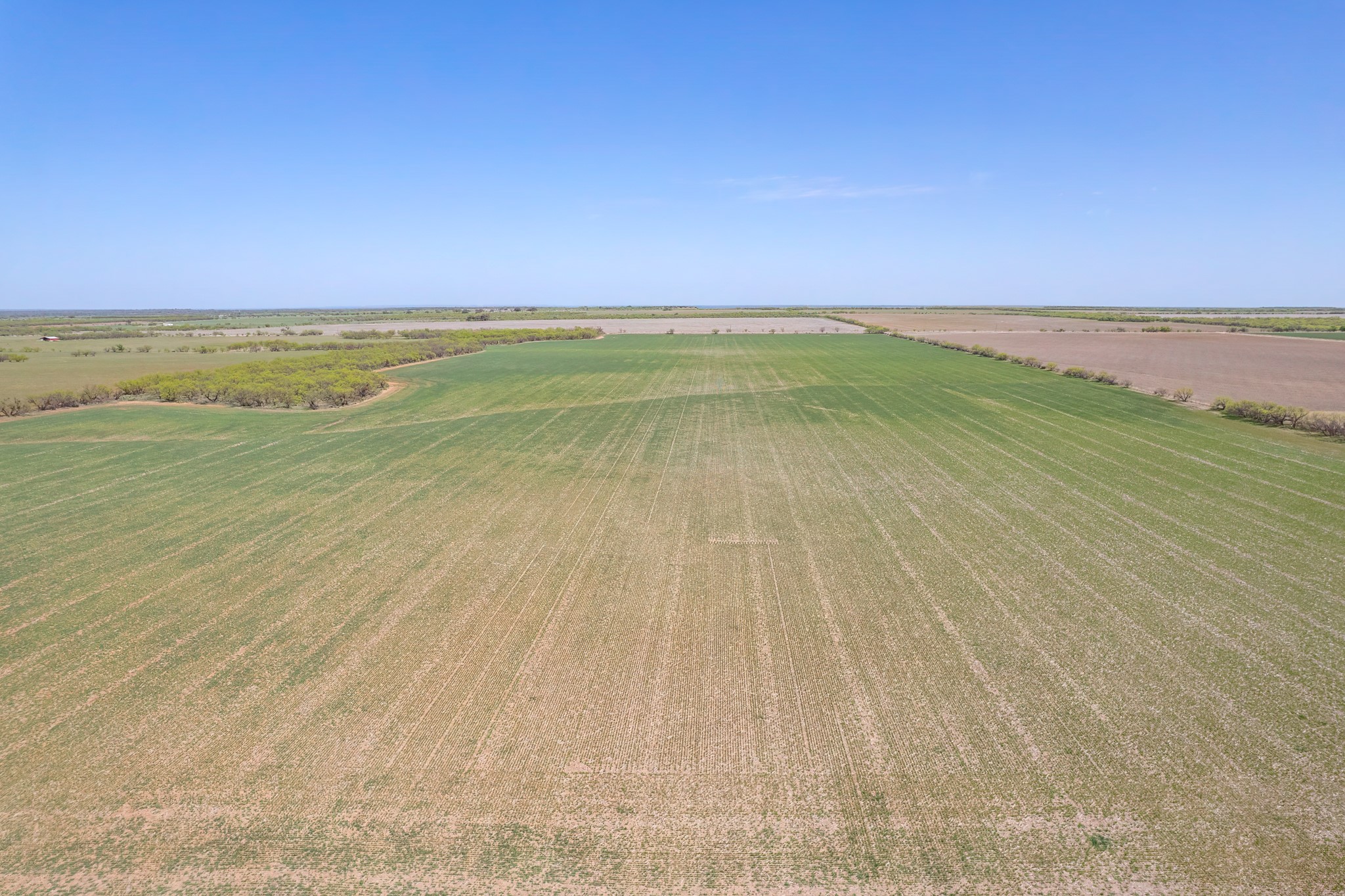 Tbd Fm 568 Coleman TX 76834
