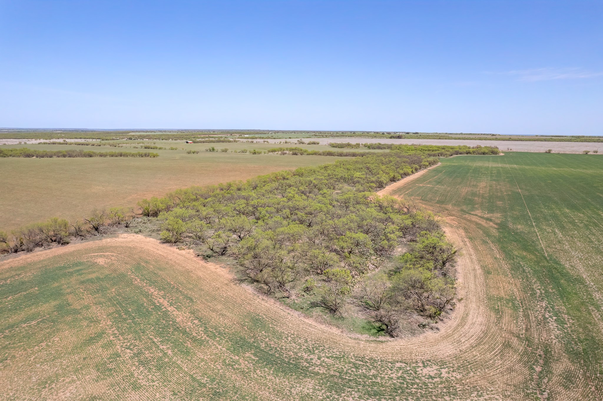 Tbd Fm 568 Coleman TX 76834