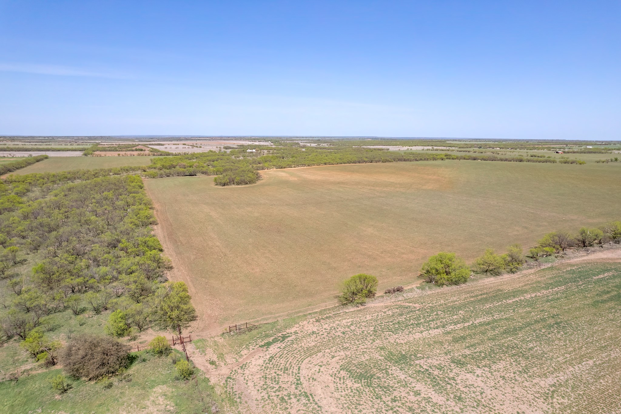 Tbd Fm 568 Coleman TX 76834