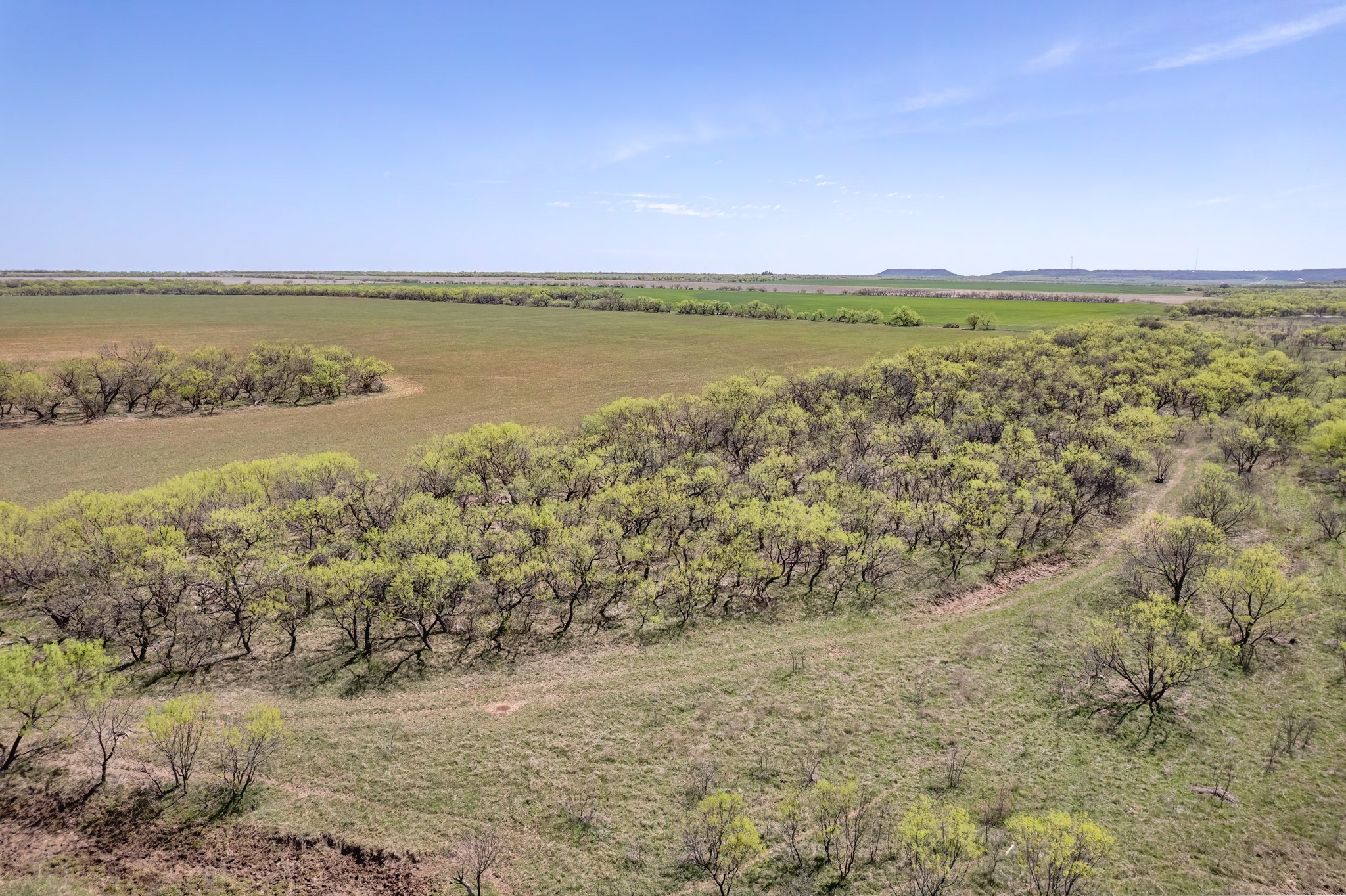 Tbd Fm 568 Coleman TX 76834