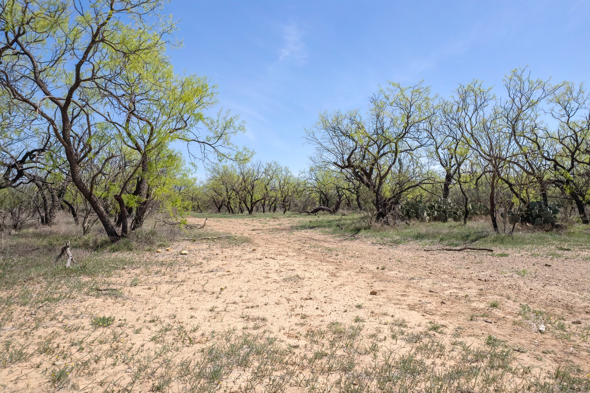 Tbd Fm 568 Coleman TX 76834