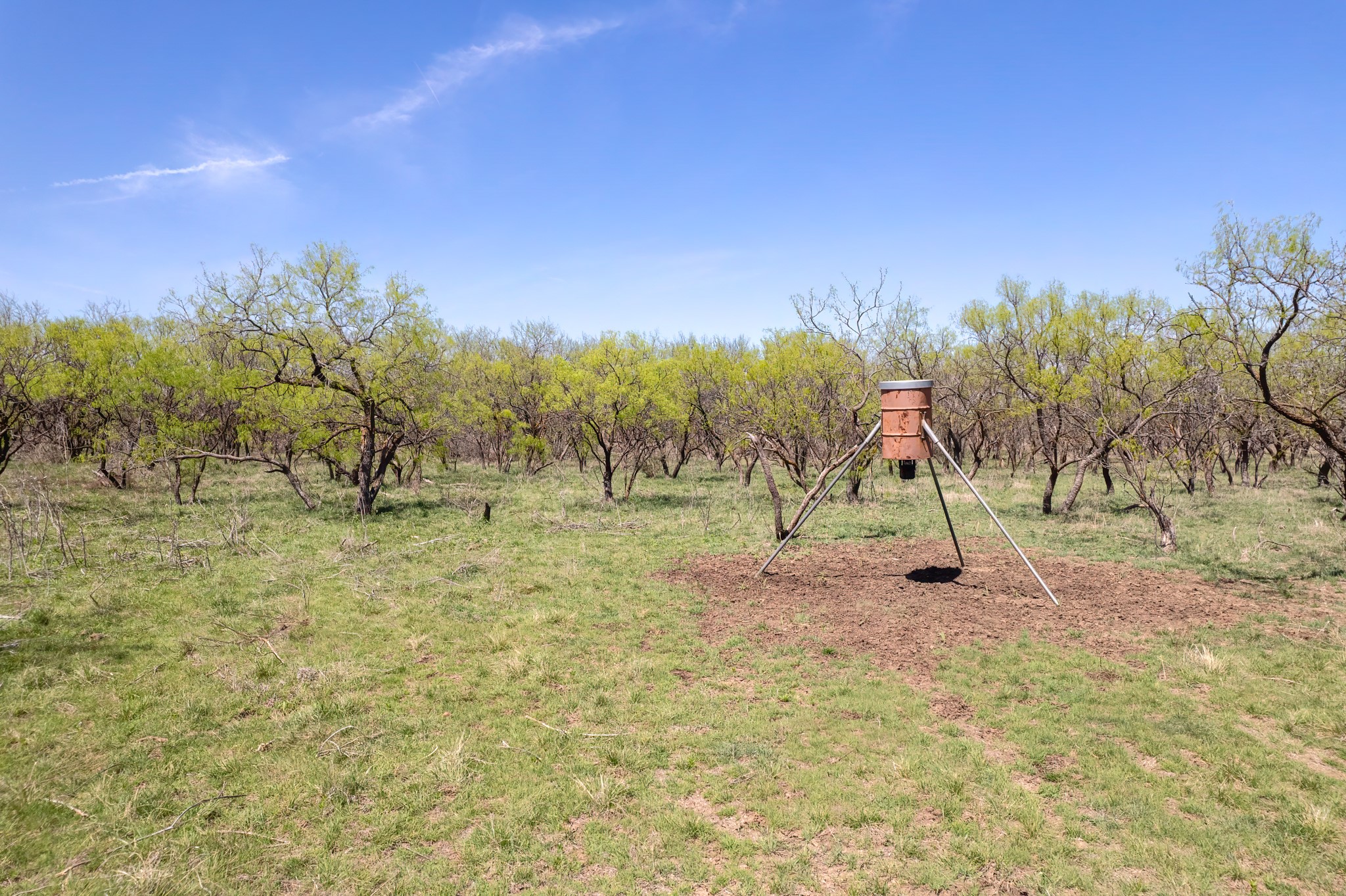 Tbd Fm 568 Coleman TX 76834