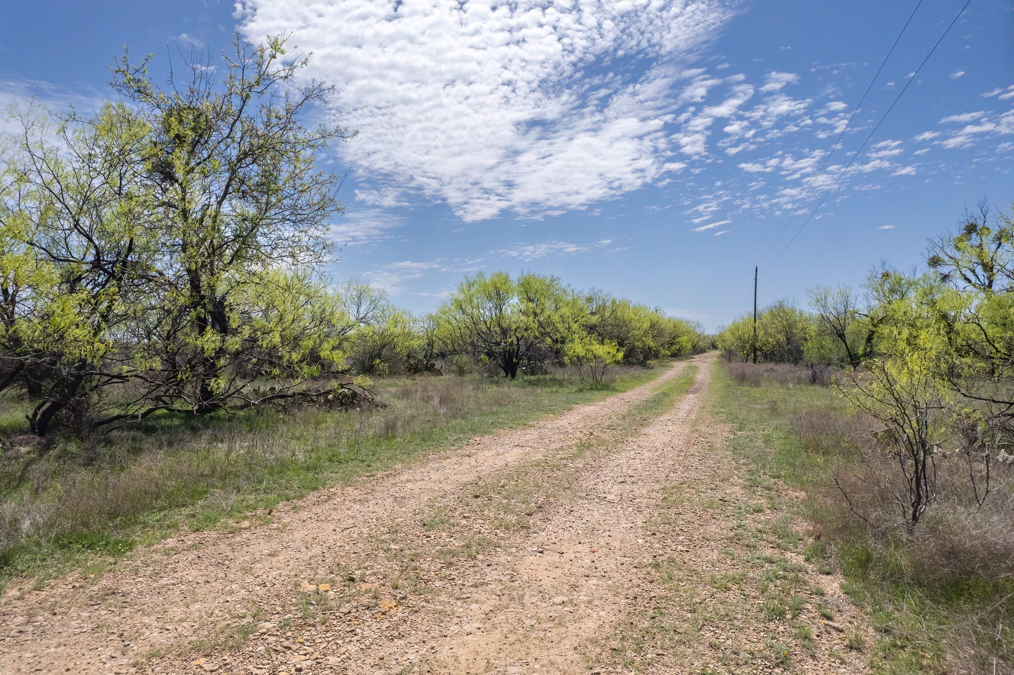 Tbd Fm 568 Coleman TX 76834