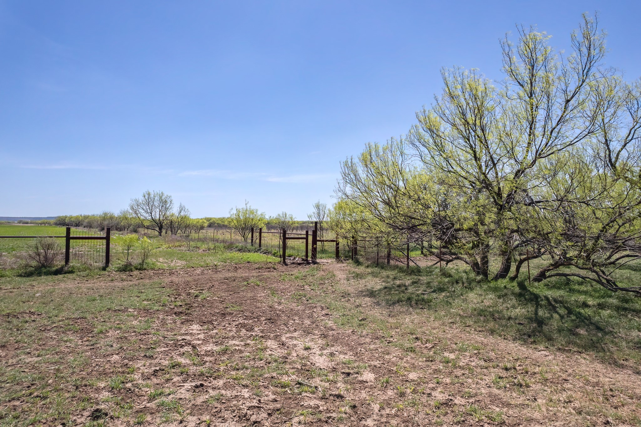 Tbd Fm 568 Coleman TX 76834