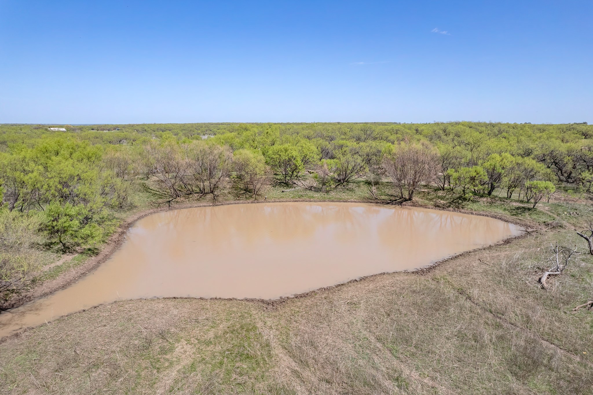 Tbd Fm 568 Coleman TX 76834