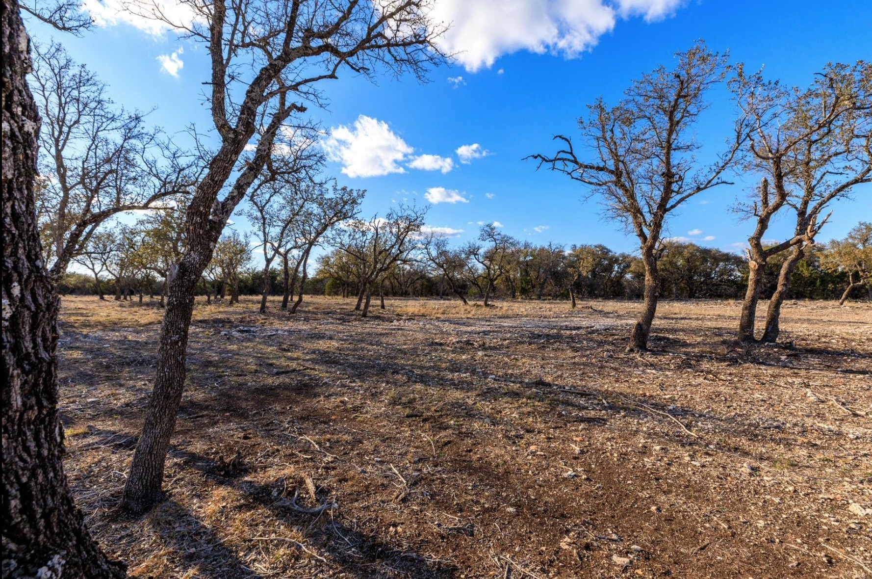 S3660 Lot 91 Seven Springs Ranch Junction TX 76849
