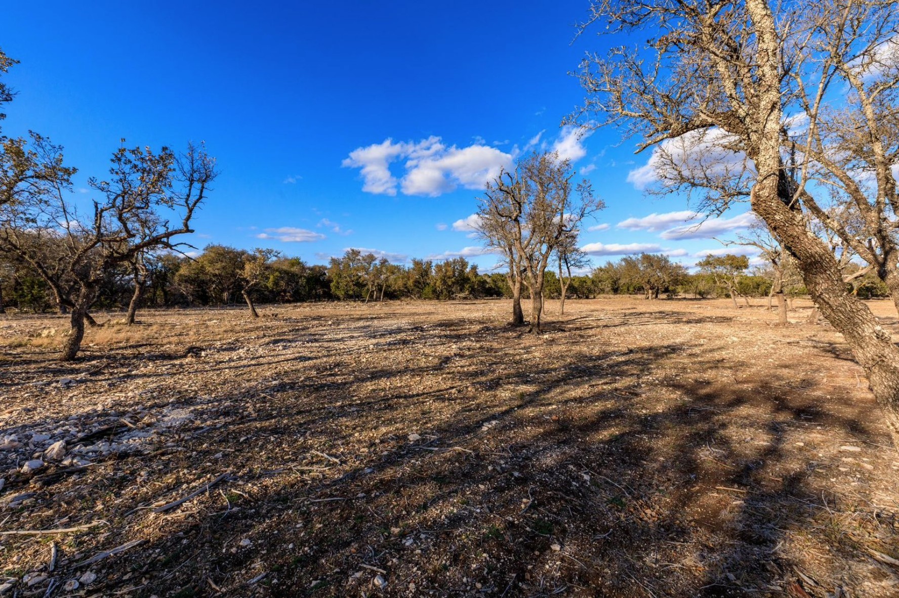 S3660 Lot 91 Seven Springs Ranch Junction TX 76849