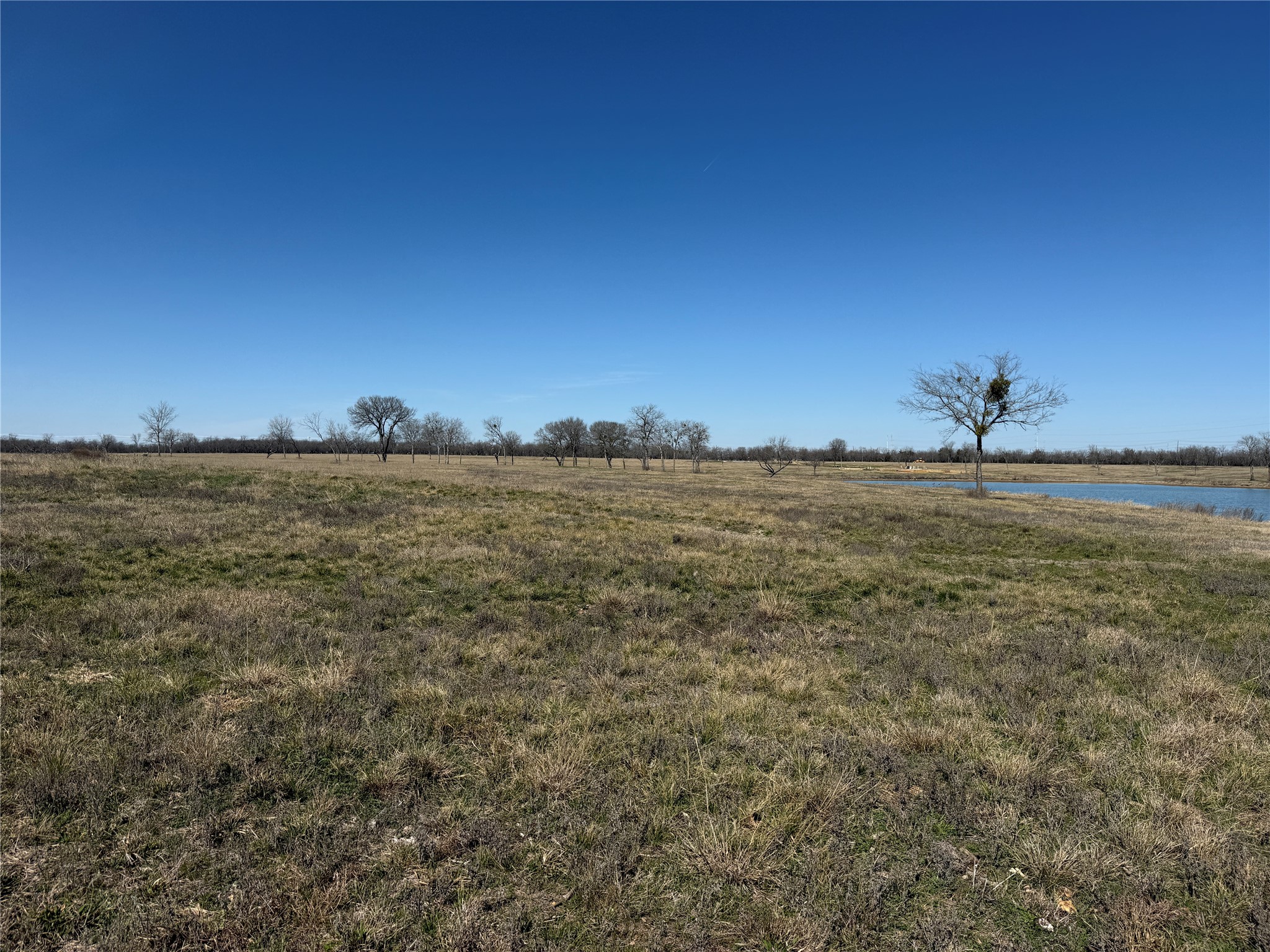 Lot 87 Bauer Boulevard Corsicana TX 75109