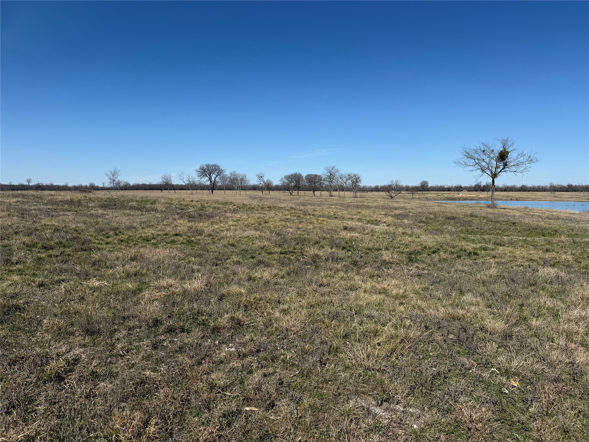 Lot 87 Bauer Boulevard Corsicana TX 75109